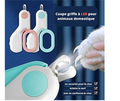 coupe griffe pour animaux domesique