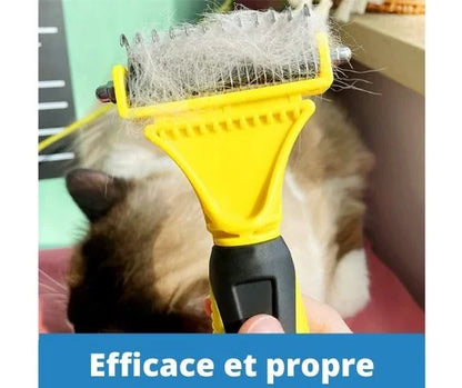 brosse plein de poils aprés brossage