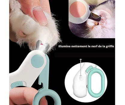 éclaire nettement le nerf de la griffe