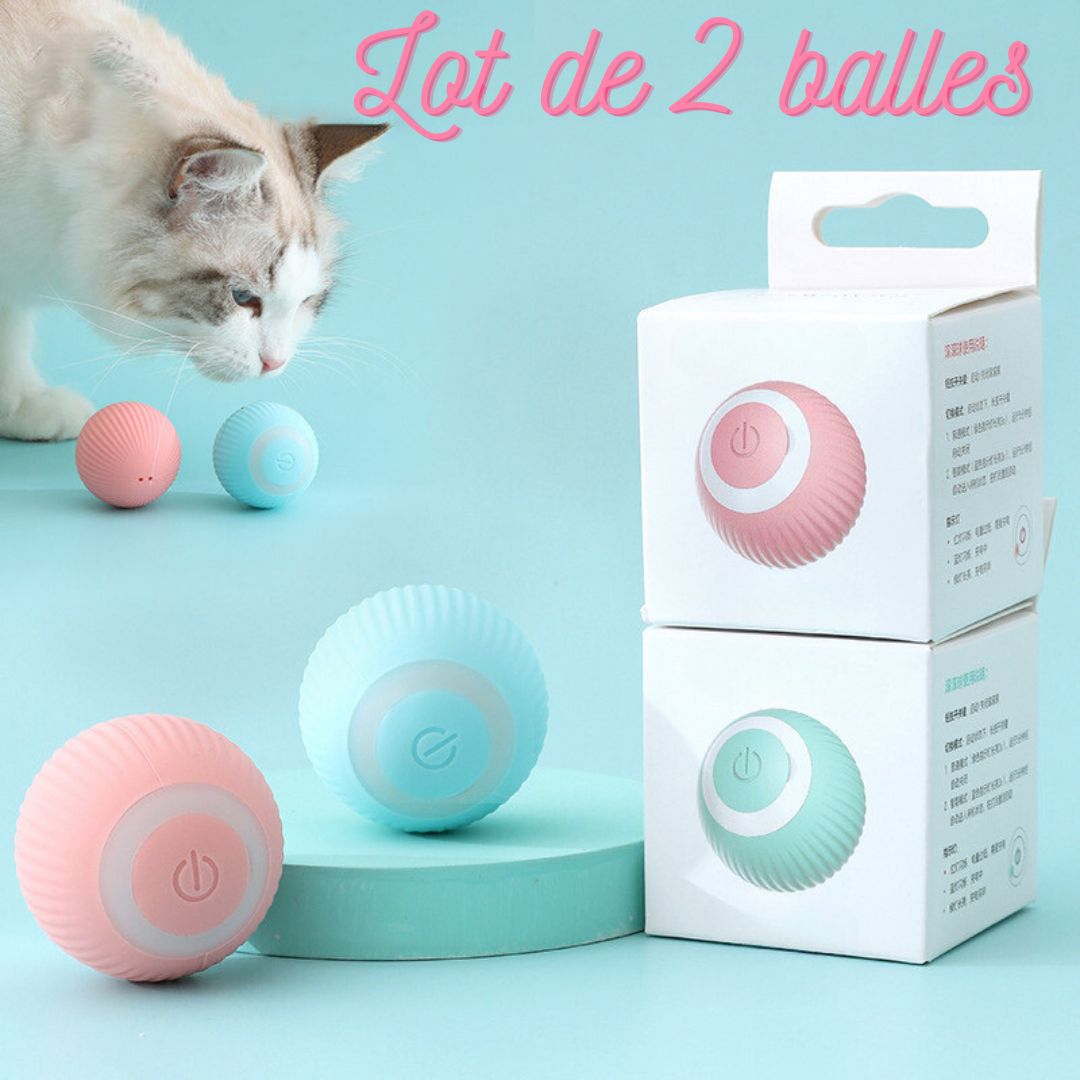 SMARTBALL Le  jouet intelligent pour chat