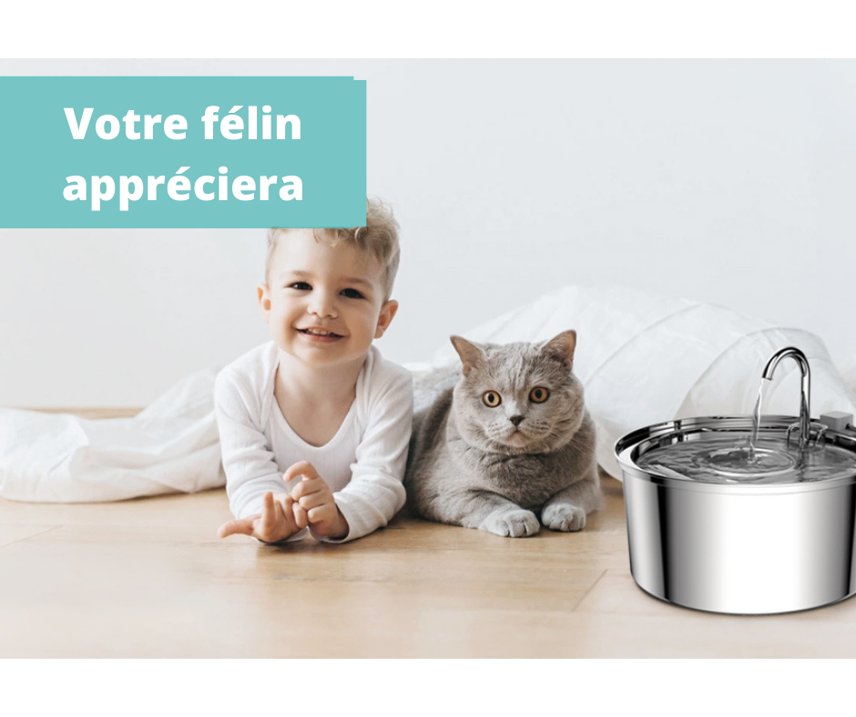 Fontaine intelligente pour Chat