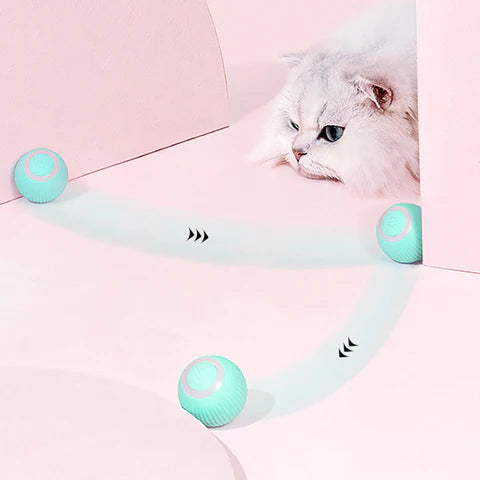 SMARTBALL Le  jouet intelligent pour chat