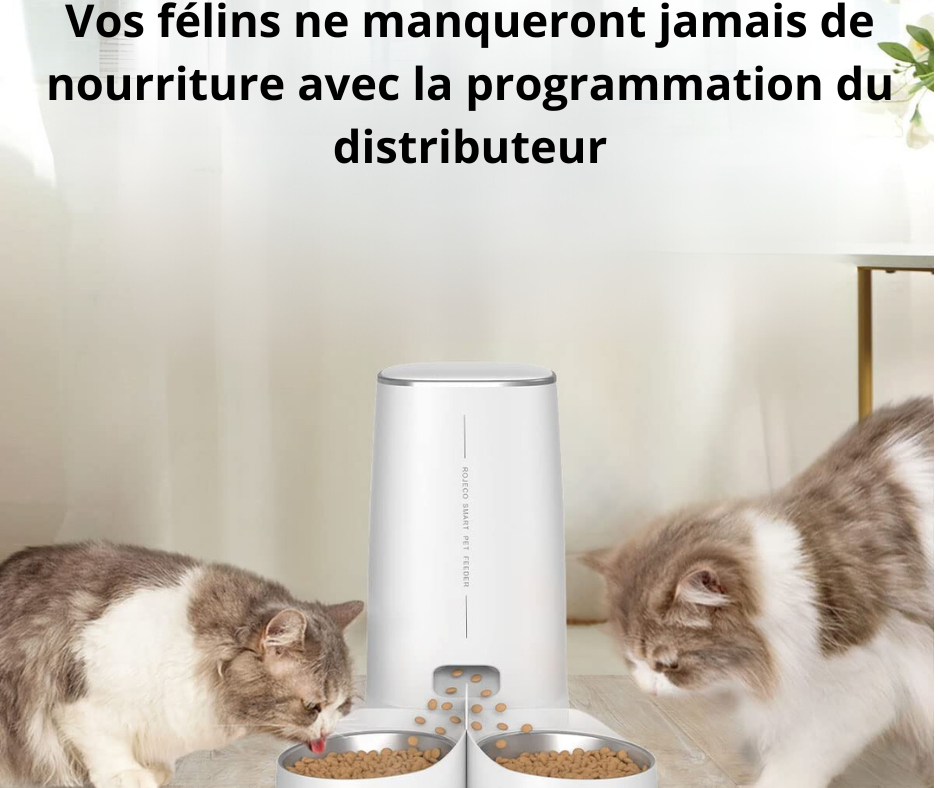 Distributeur de croquettes intelligent DISTRI-SMART