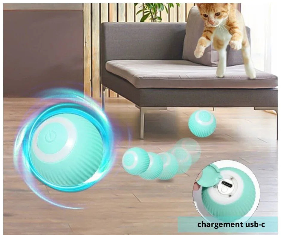 chat qui saute sur une balle