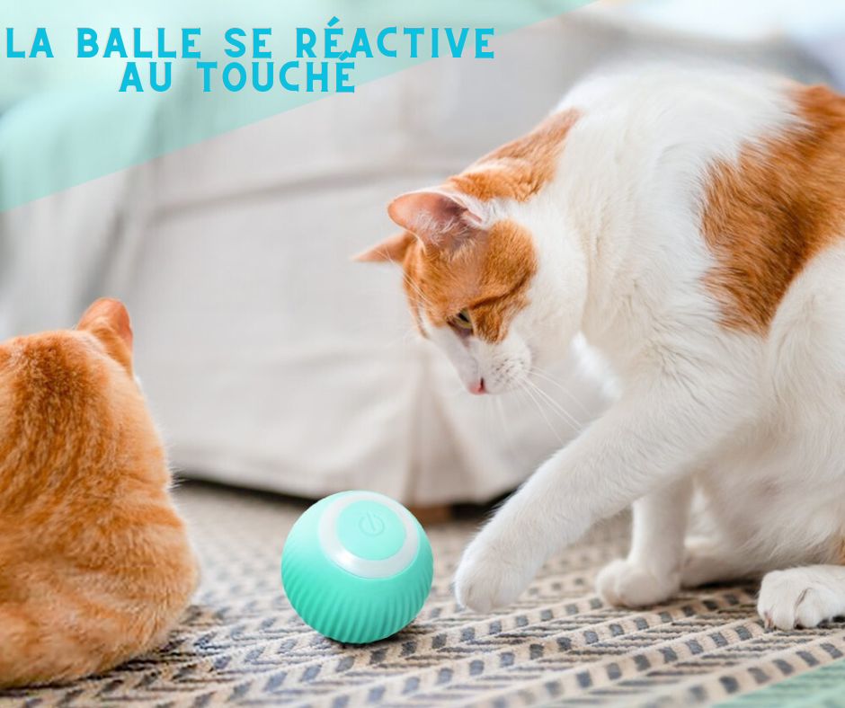 SMARTBALL Le  jouet intelligent pour chat