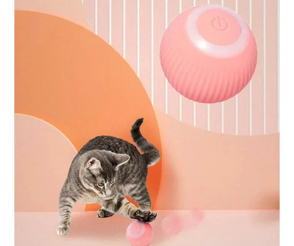 chaton avec une balle rose