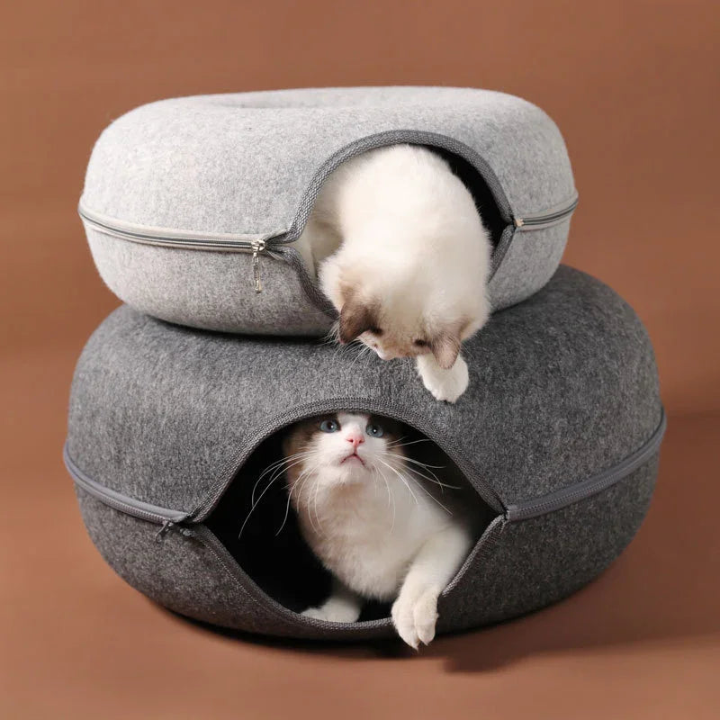 chats dans leurs niche tunnel