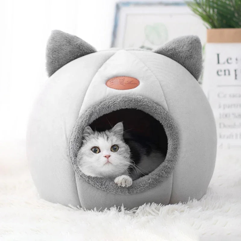 faite plaisir a votre chaton