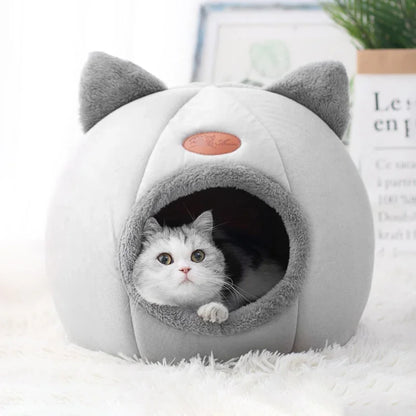 faite plaisir a votre chaton