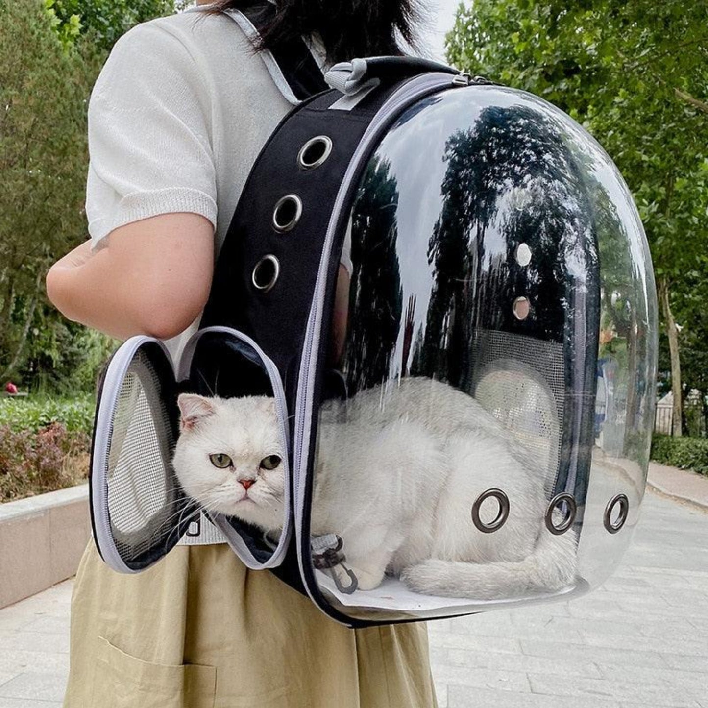 sac à dos noir pour chat